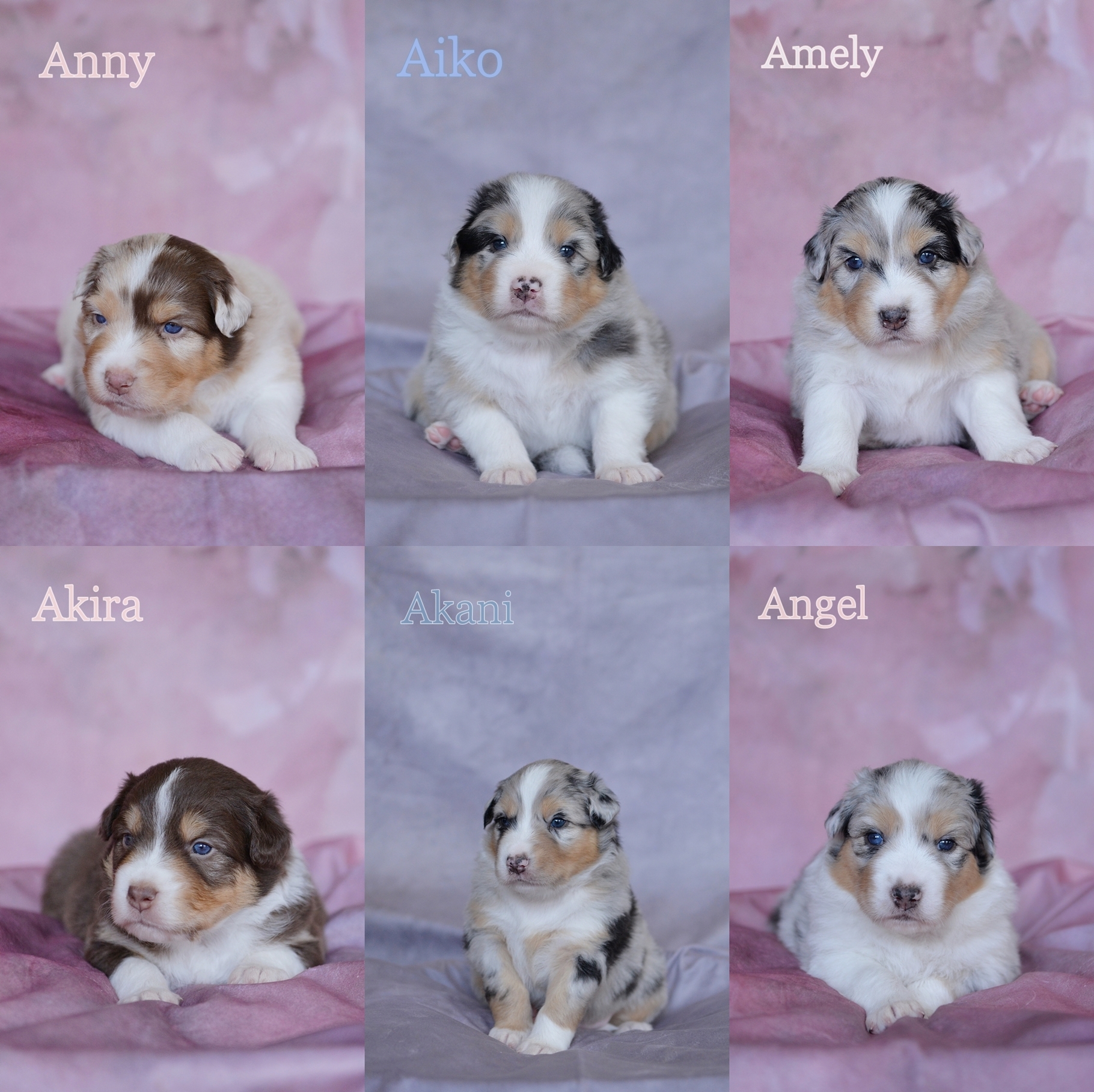 amwe21schrift-horz-vert