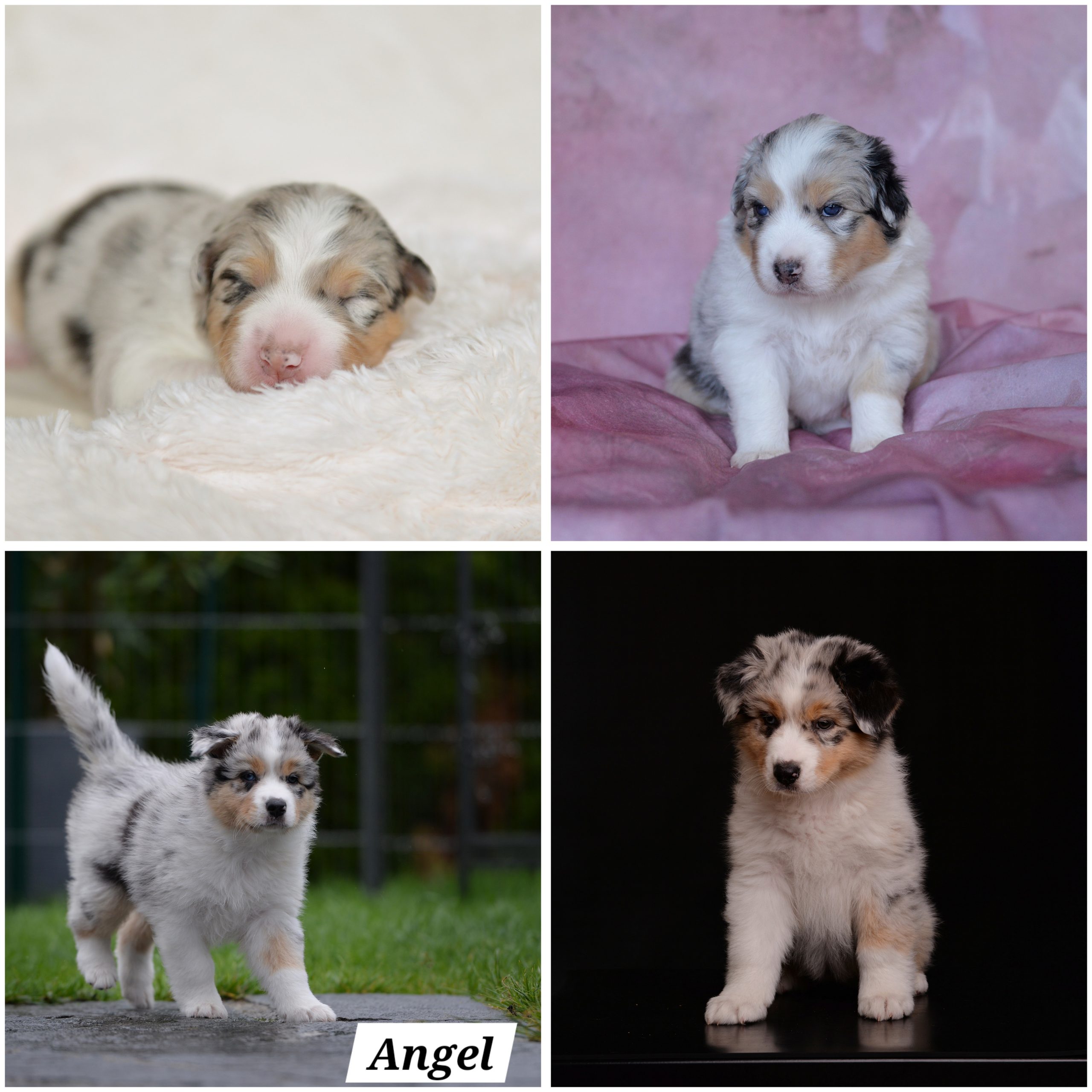 InCollage_20240613_074528591