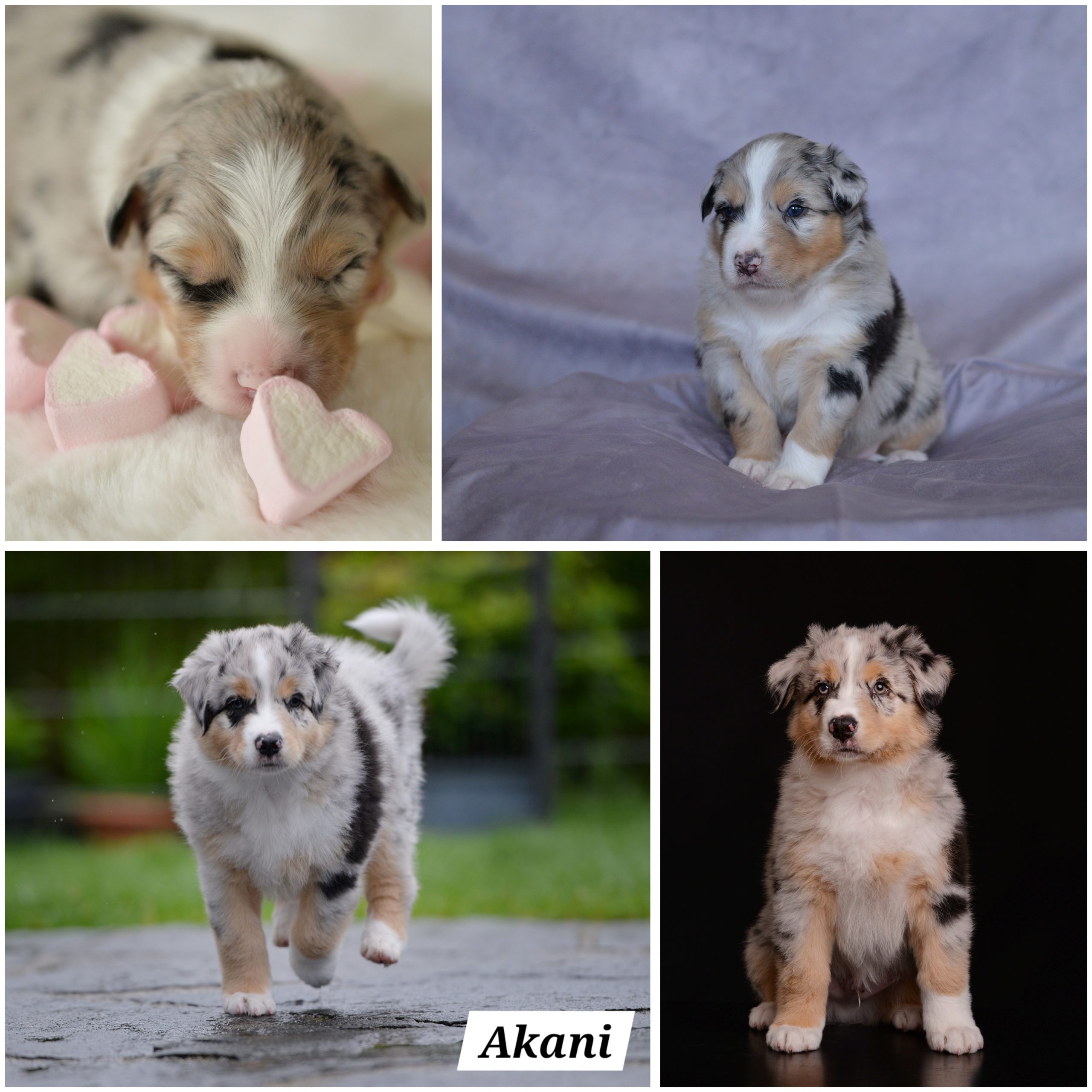 InCollage_20240613_074903582