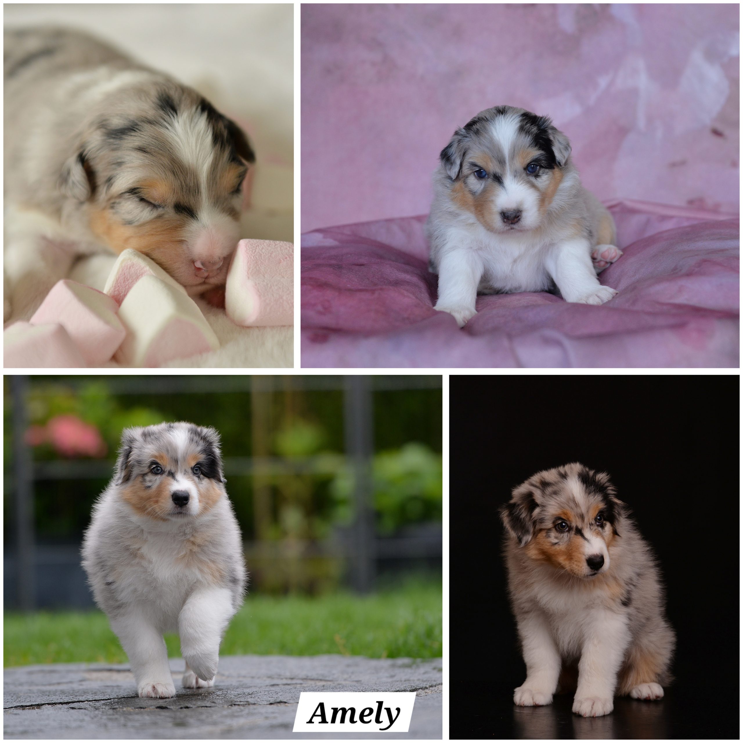 InCollage_20240613_075734926