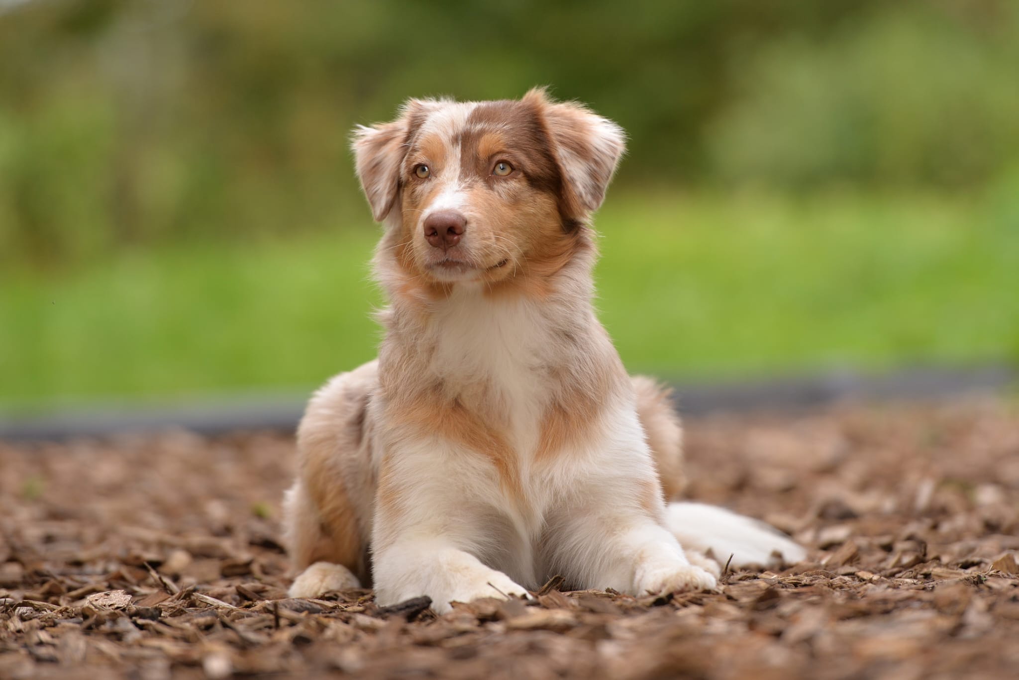 WhatsApp Image 2024-10-07 at 14.03.29