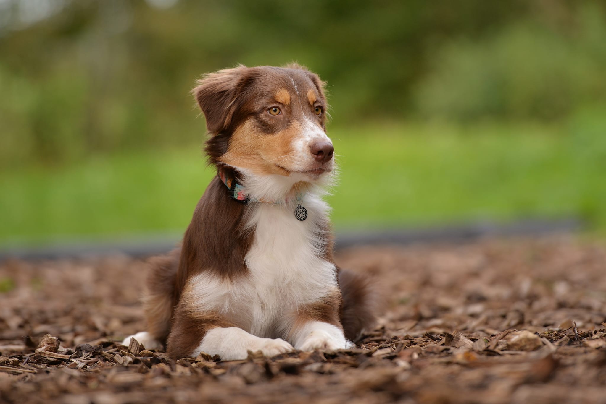 WhatsApp Image 2024-10-07 at 14.03.30 (1)