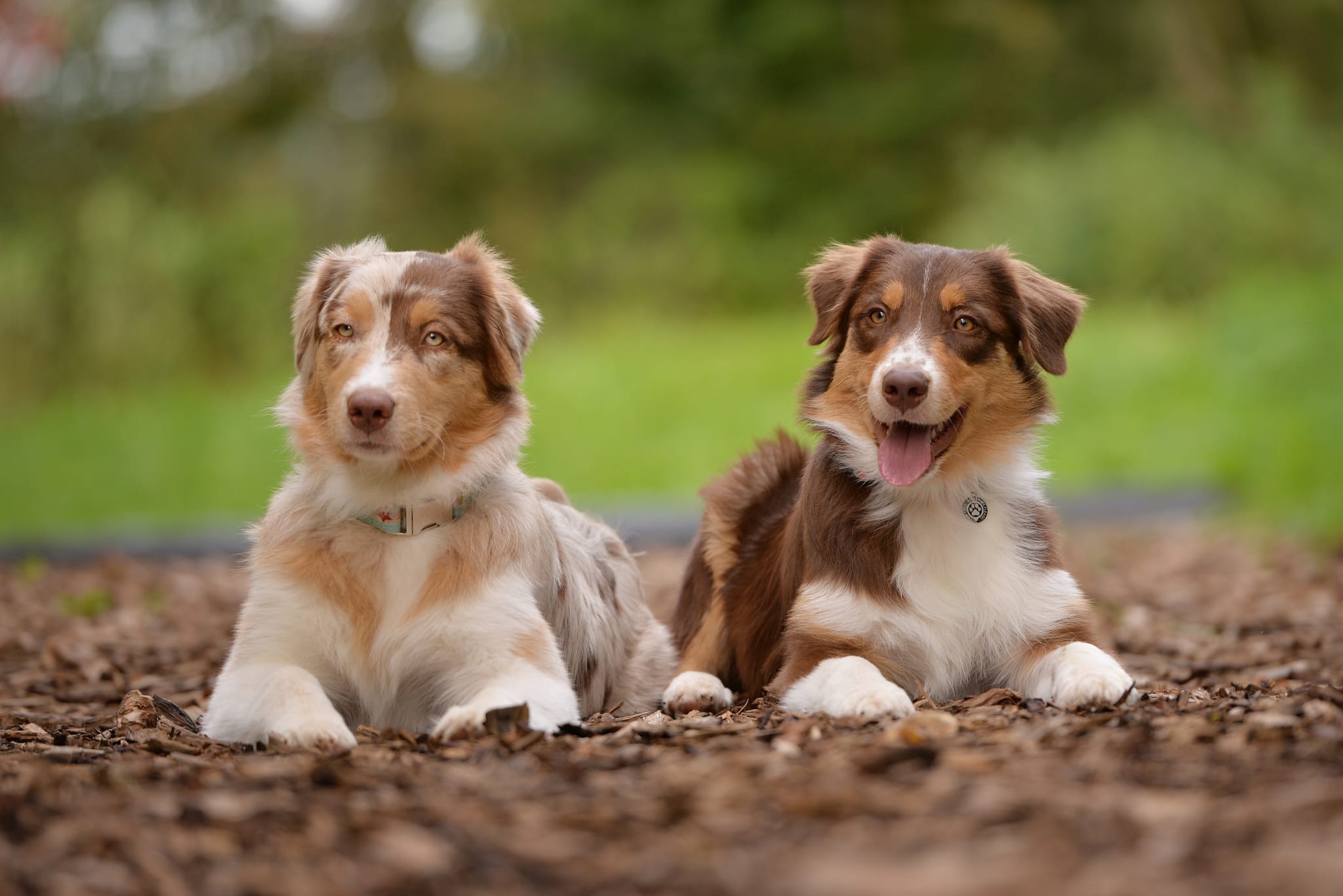 WhatsApp Image 2024-10-07 at 14.03.30