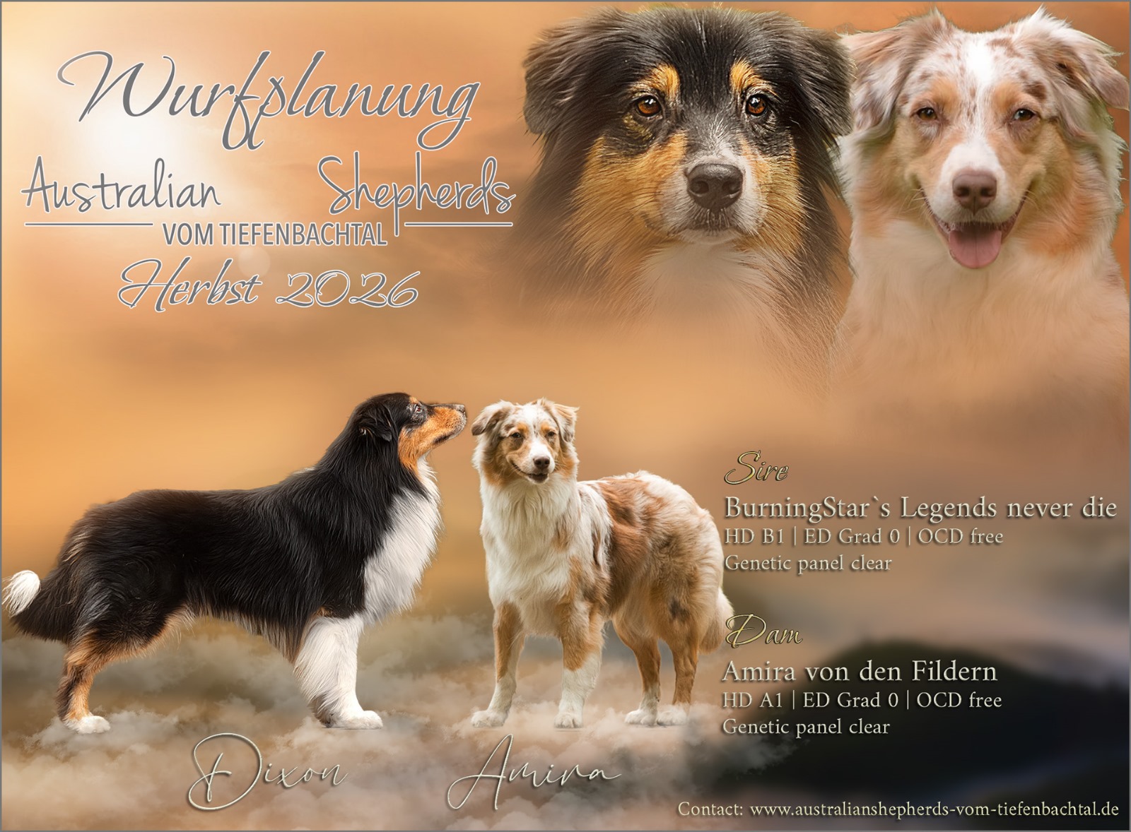 WhatsApp Image 2025-11-13 at 05.46.57