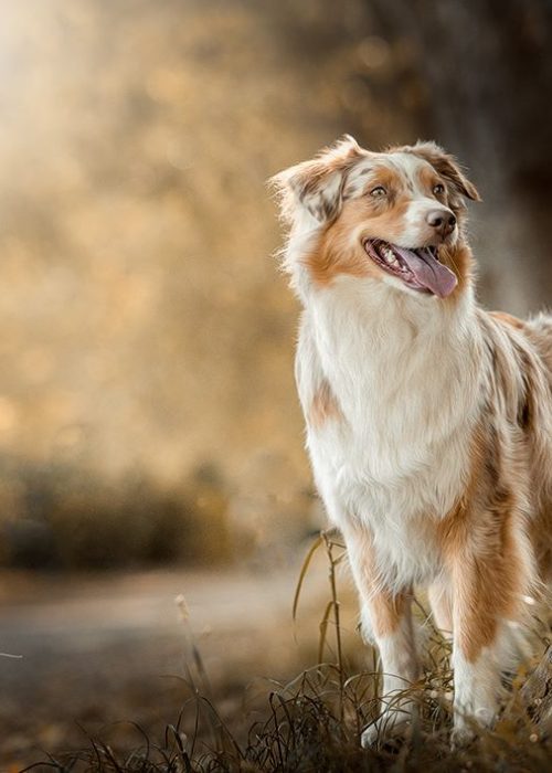 © Patrizia Stabile Fotografie