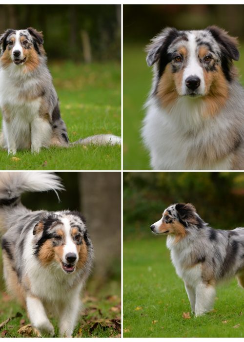 InCollage_20251024_200312629