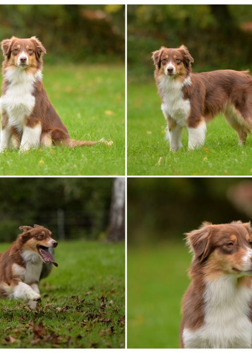 InCollage_20251025_071849217