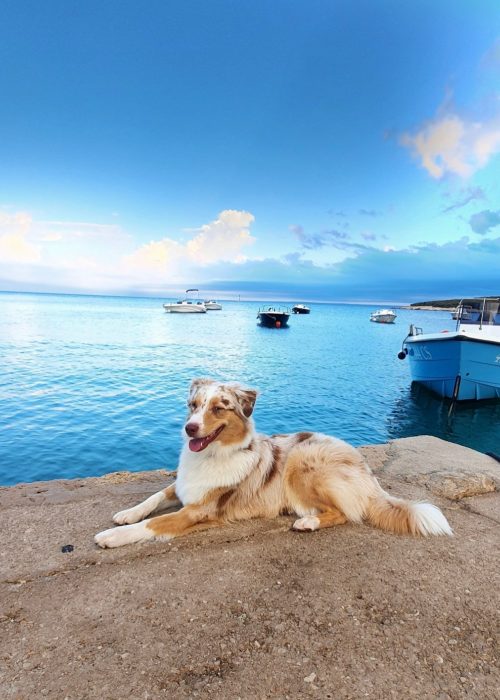 Screenshot_20220909-085424_Gallery