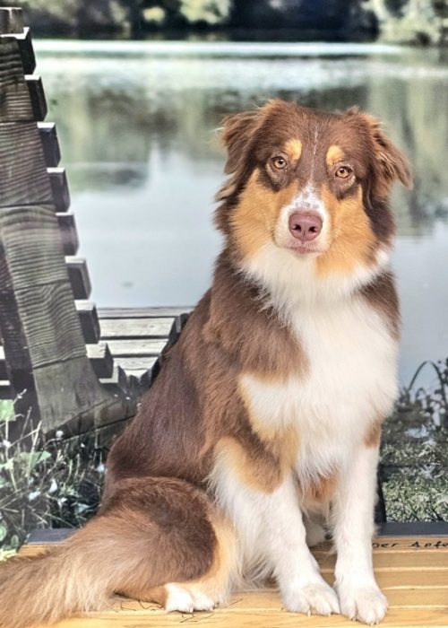 Screenshot_20250709_092116_Gallery