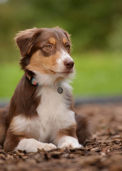 WhatsApp Image 2024-10-07 at 14.03.30 (1)